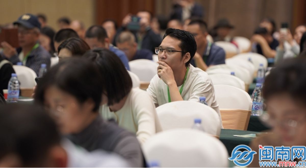 我體驗(yàn)了一把自由職業(yè)