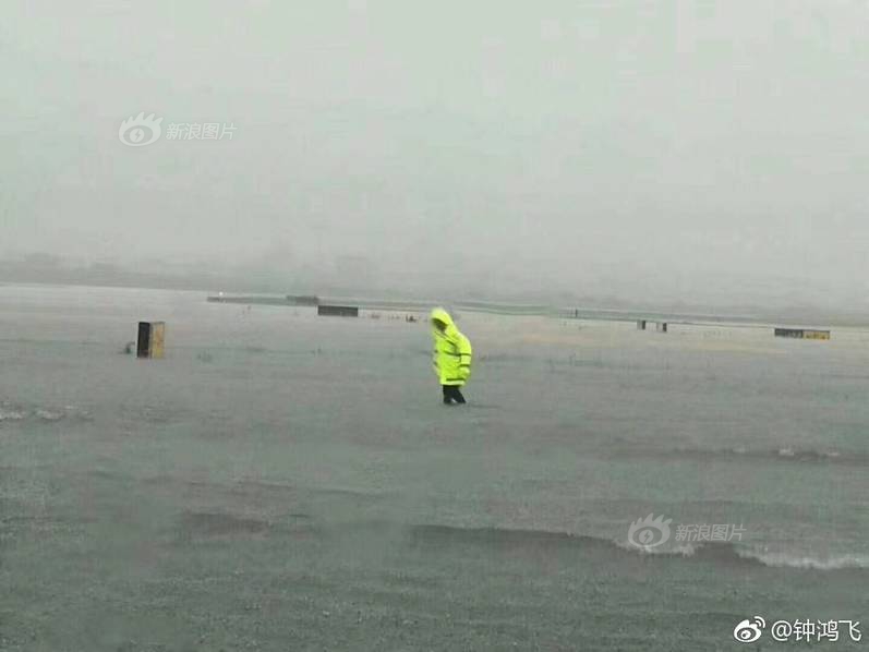 《歌手》中場戰(zhàn)事：周深爭歌王袁婭維淘汰，審美..