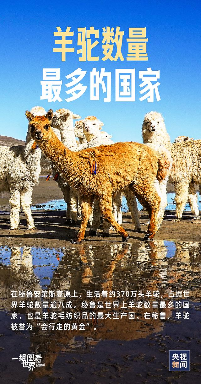 完成365天打卡，贏「LOFTER生活家」 認(rèn)證