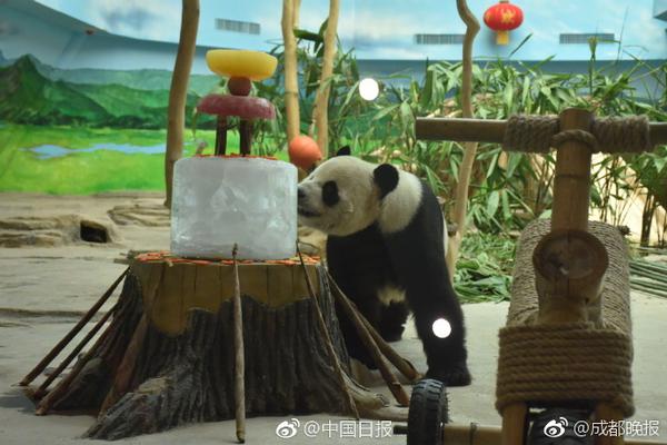 楊洋：快樂才能使人像陽光