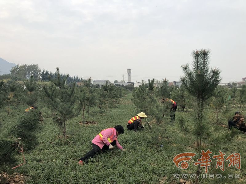 光遇 支持跨平臺的聯(lián)機