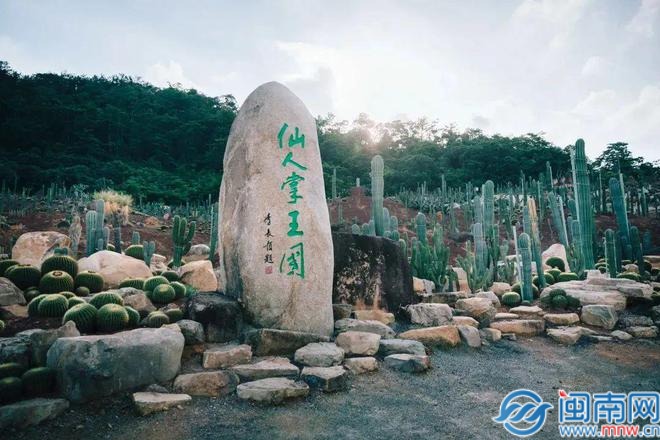 亞馬遜敗走中國：蟄伏15年 這家公司經(jīng)歷了什么？