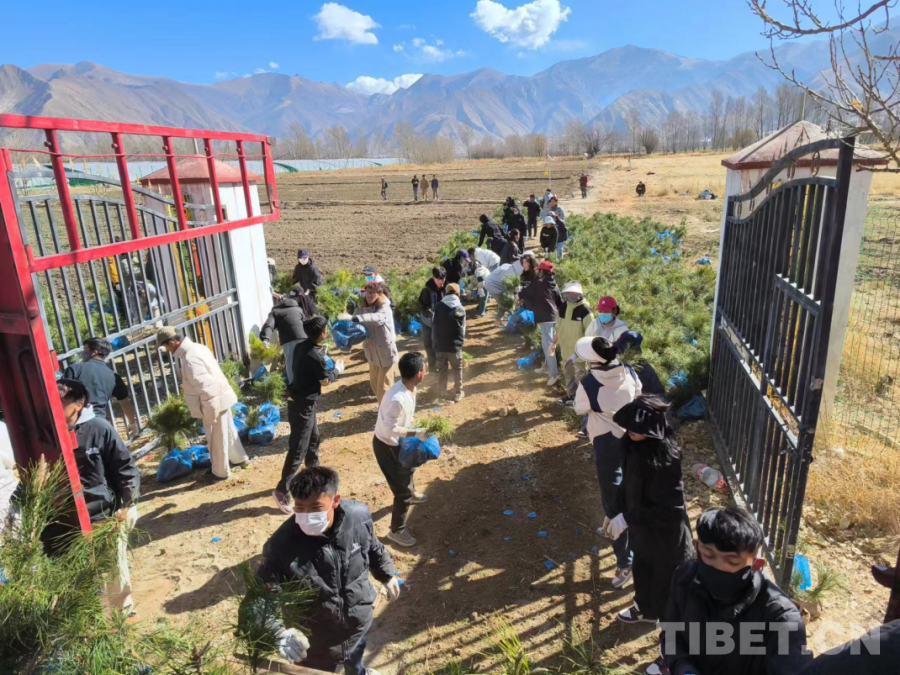 緣夢(mèng)基金：為民圓夢(mèng) 讓愛團(tuán)圓