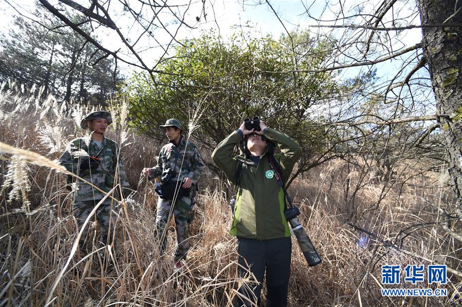 瞧不起韓國人畫的高達？那你可能誤解很深了