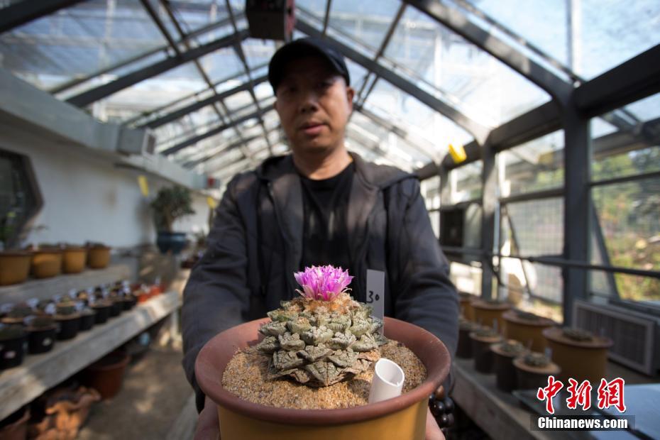 拼多多2020年動(dòng)向：推動(dòng)百億補(bǔ)貼2.0，發(fā)力直播等戰(zhàn)略產(chǎn)品