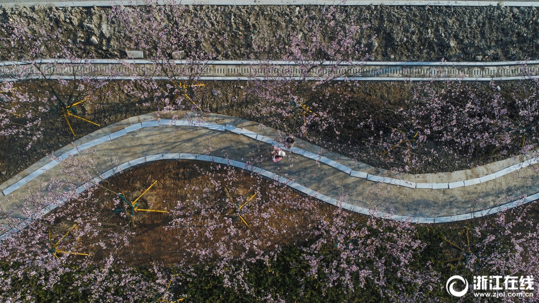 涼山撲火隊員出發(fā)前朋友圈曝光：代表寧南人民，我們出發(fā)了