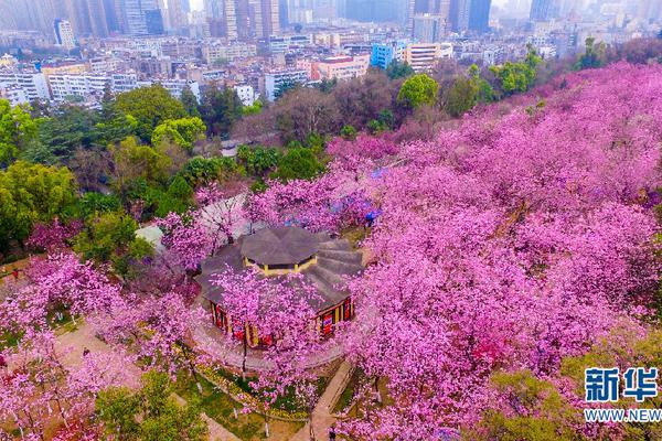 境外輸入病例超700 如何防范輸入風(fēng)險(xiǎn)？