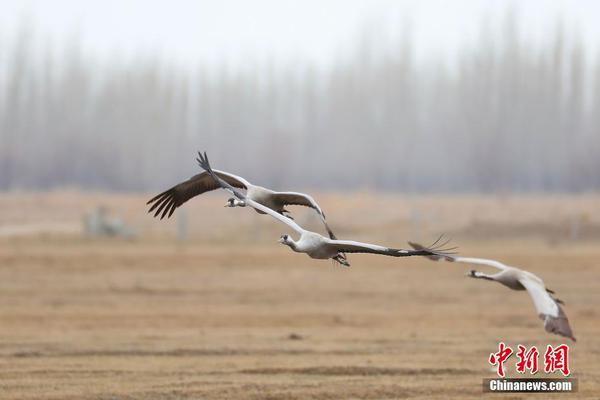 潘基文：若想與華合作解決可吸入顆粒物 韓要減排