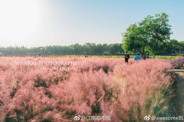 最美逆行！行李箱滾落砸向老人 小伙狂奔截住
