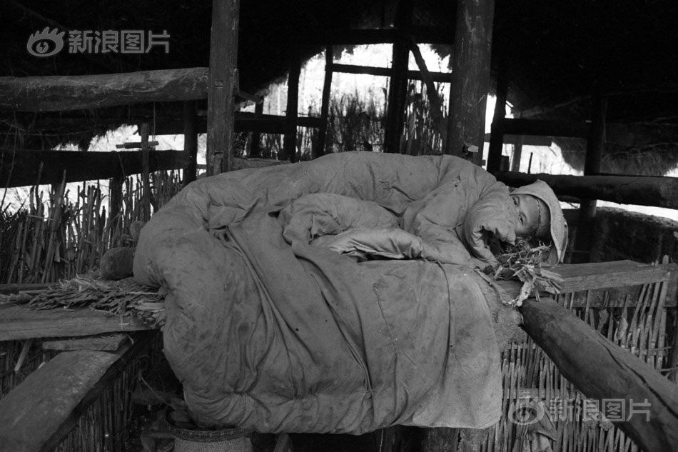 楊冪的小細腿穿單車褲似竹竿 被歐美女星秒殺