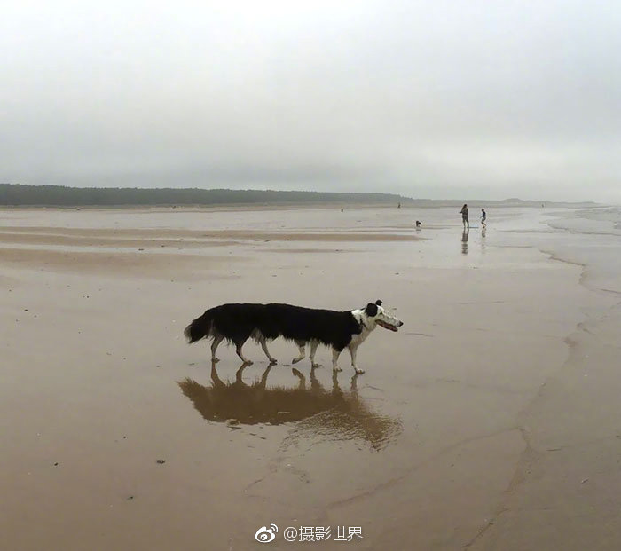 “假懷孕”你知道否？趕緊來了解下！