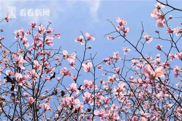 服務(wù)員神似《權(quán)游》“小惡魔”...