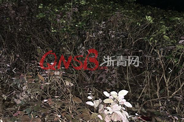 人大副校長劉元春:這次危機(jī)是系統(tǒng)性停擺