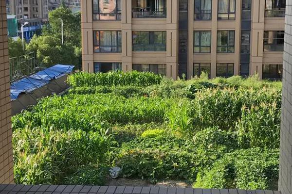 美又撤出一個駐伊基地 交接價值百萬美元物資