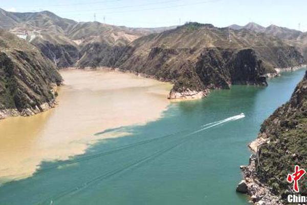 賈躍亭遭立案調(diào)查：26萬股民欲哭無淚