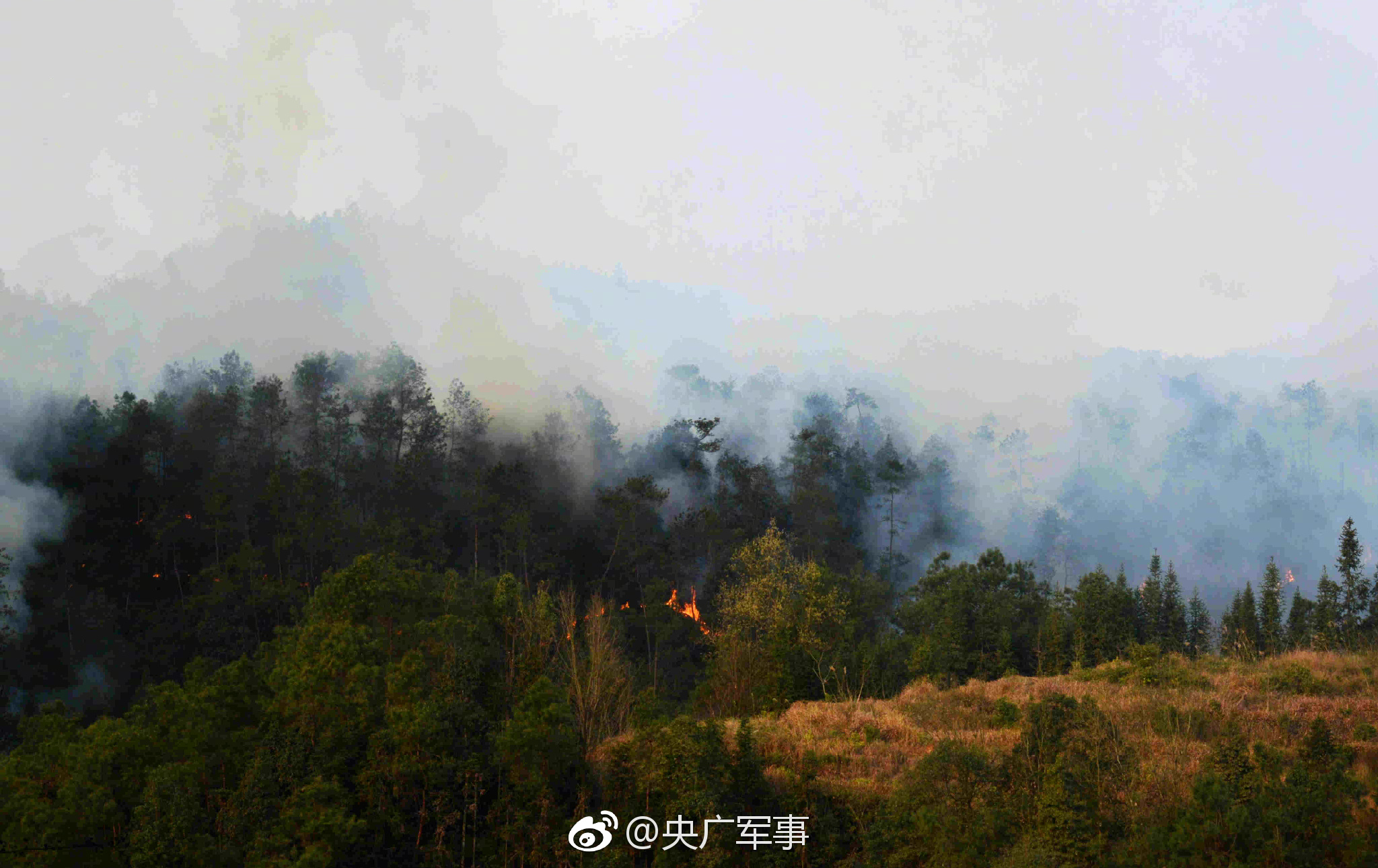 比亞迪