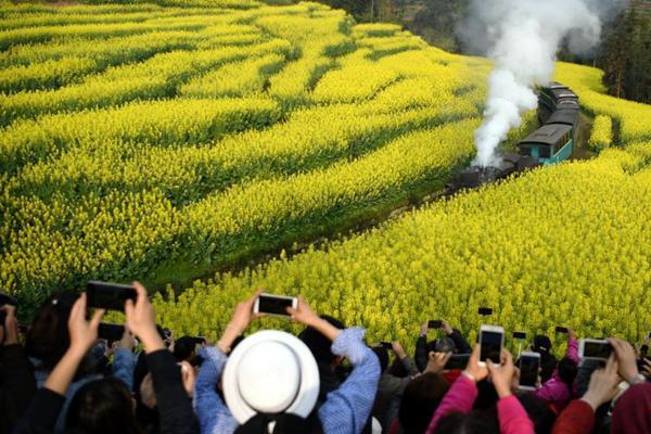 倫敦股市《金融時(shí)報(bào)》100種股票平均價(jià)格指數(shù)30日下跌