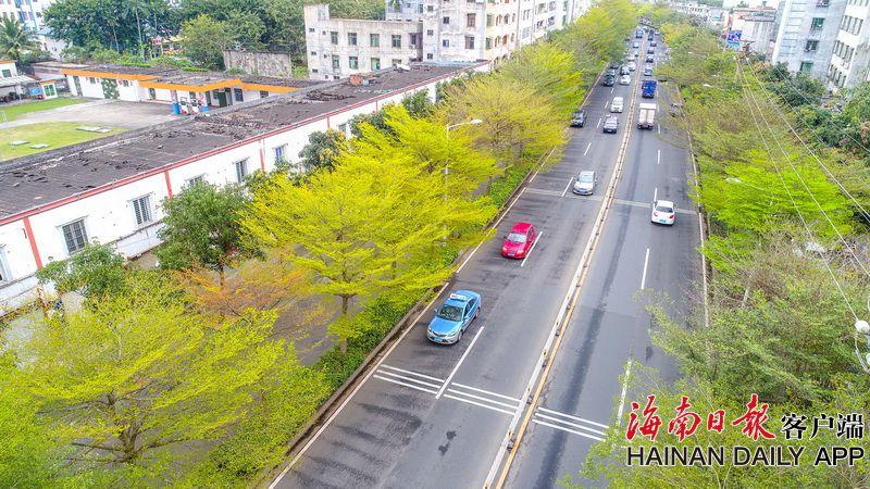 “我們都有病”：瓷娃娃女孩玩搖滾 為罕見病群體發(fā)聲