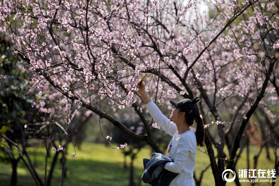 陳冠希為護(hù)隱私何錯(cuò)之有？