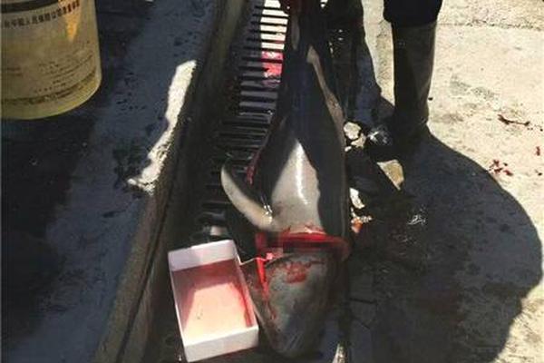 吃深海魚油能替代他汀藥物嗎？醫(yī)生辟謠：這兩者區(qū)別您先得清楚！