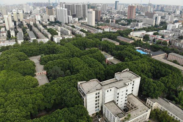 巨人之力缺乏根基外強中干——《布魯克林秘案》