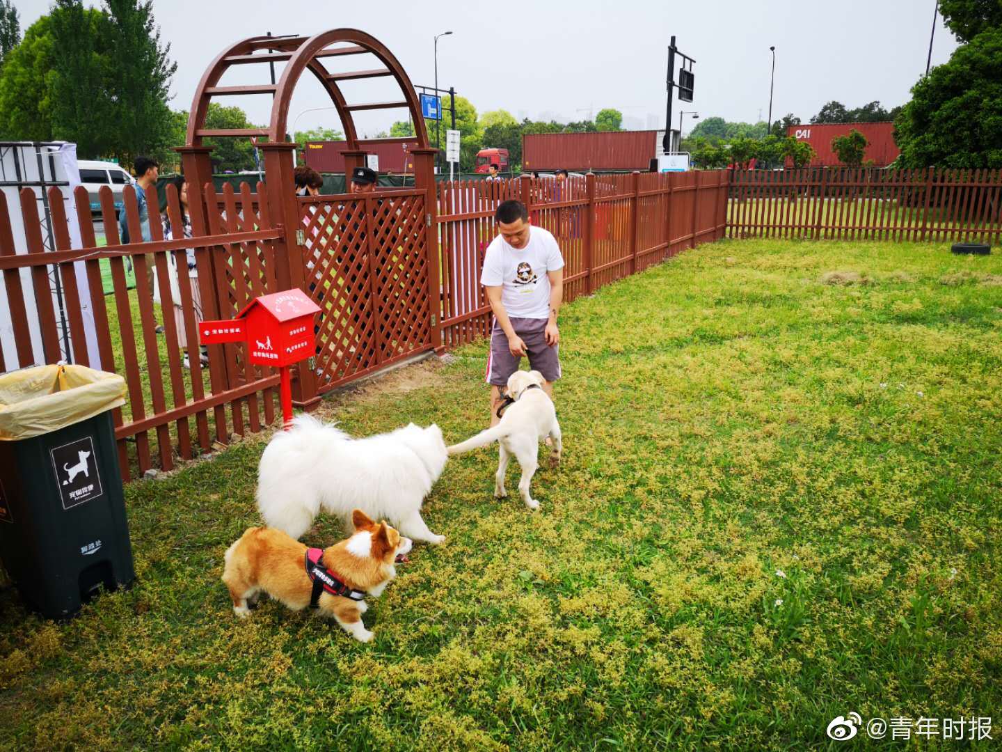 替嫁嬌妻：偏執(zhí)總裁寵上癮