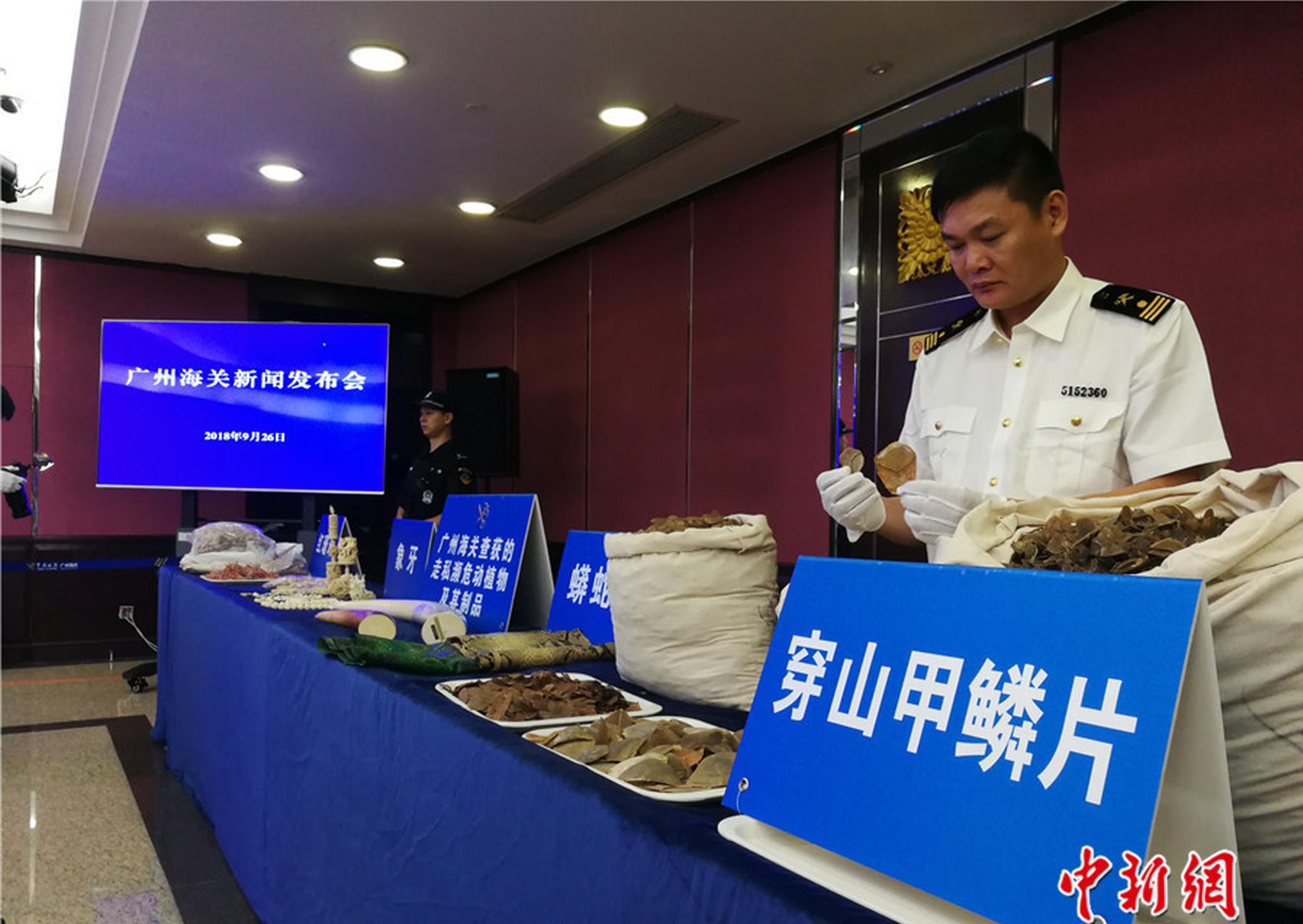 海南回應賽馬運動配套文件進度:正等待省政府批復