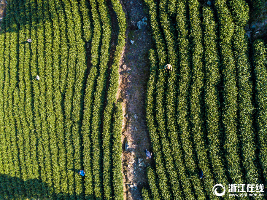 創(chuàng)勢(shì)資本董事長(zhǎng):疫情之下,企業(yè)如何守住現(xiàn)金流紅線?