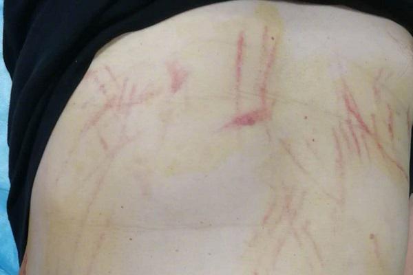 劉亦菲懷抱愛犬溫柔甜美 恬靜似畫中人
