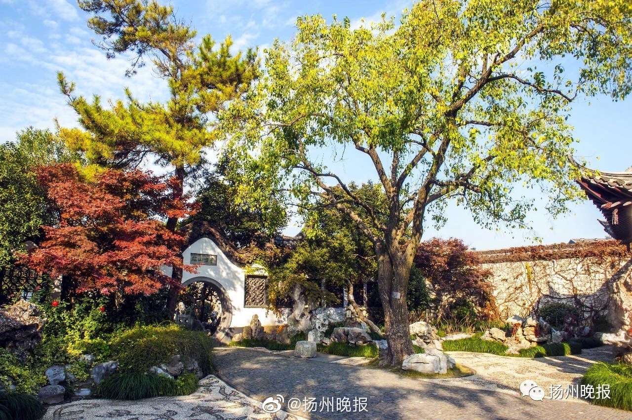 全新寶馬3系 競爭力提升明顯