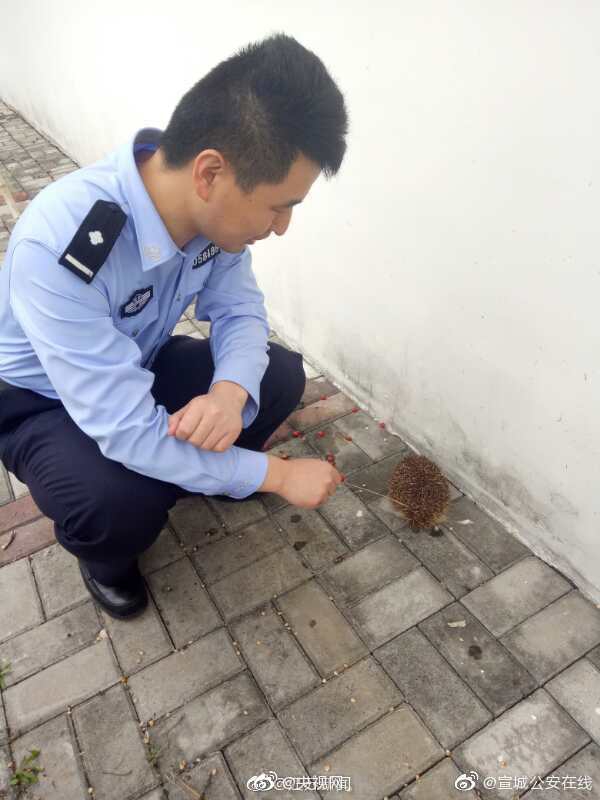 美患者急性呼吸窘迫后才獲新冠檢測資格 用瑞德西韋治愈