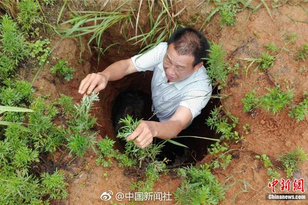德國將采購三種戰(zhàn)斗機(jī)以取代“狂風(fēng)”戰(zhàn)斗機(jī)