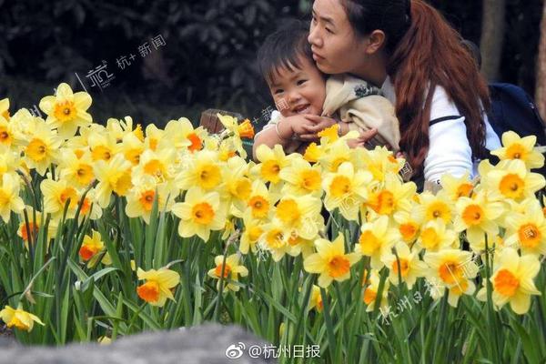 設(shè)計跨境物流分揀中心系統(tǒng)，有哪些關(guān)鍵點？