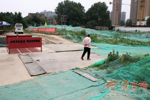 66歲趙雅芝60歲惠英紅45歲周迅集體“當(dāng)媽”，演技被嘲是因老了?