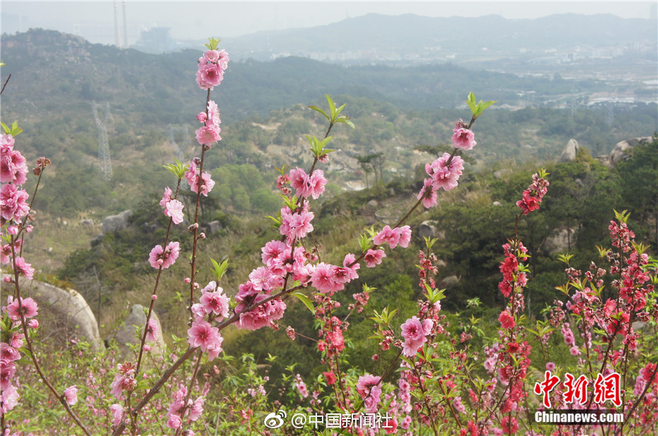 福建寧德破獲10余起電信網(wǎng)絡(luò)詐騙案 涉案金額逾百萬元