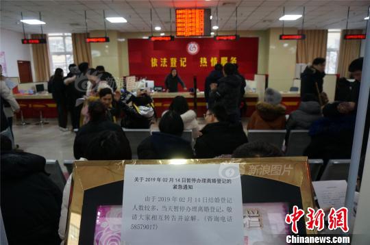 海關(guān)寵物新政明起施行,符合條件汪星人喵星人可直接入境!