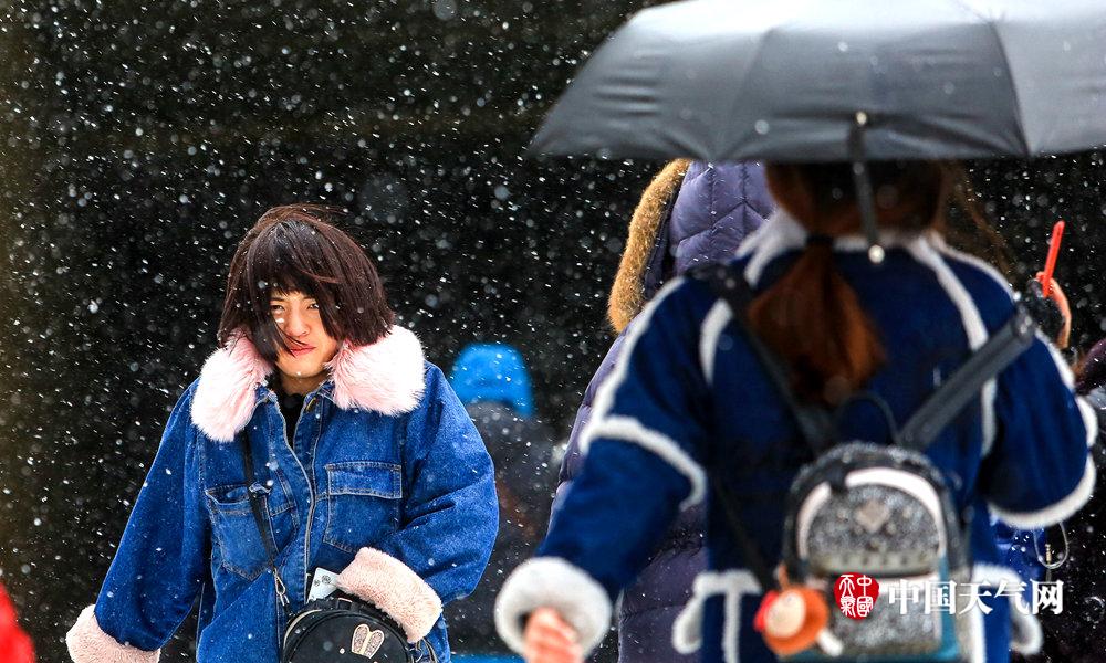 冷兵器時代的各國騎兵鑒賞