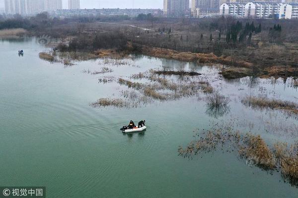 畫下夢境 乘著風(fēng)去旅行
