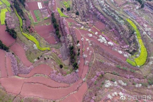 多家影視公司披露財報，深圳廣電改頻道制為中心制