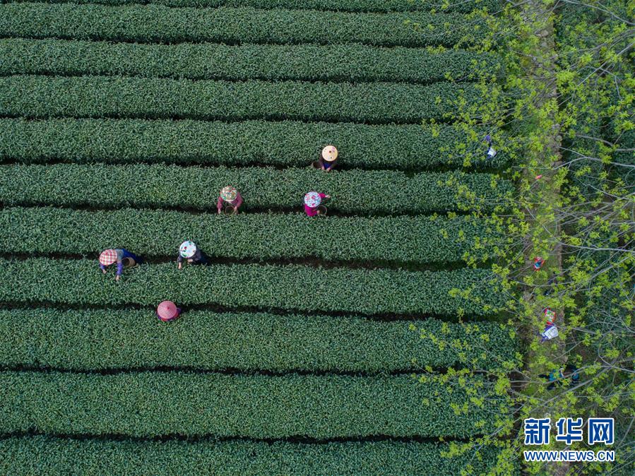 男孩“落枕”，按摩不見緩解險(xiǎn)致癱