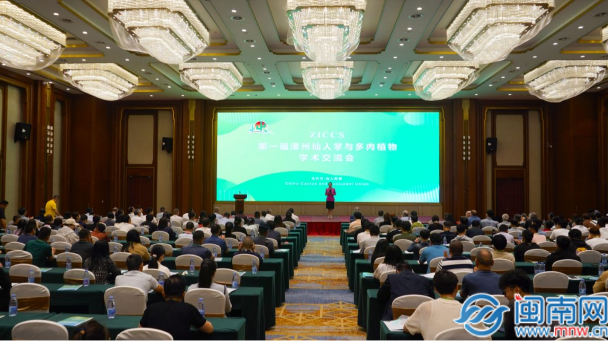 曝中國新輕型坦克已批量服役