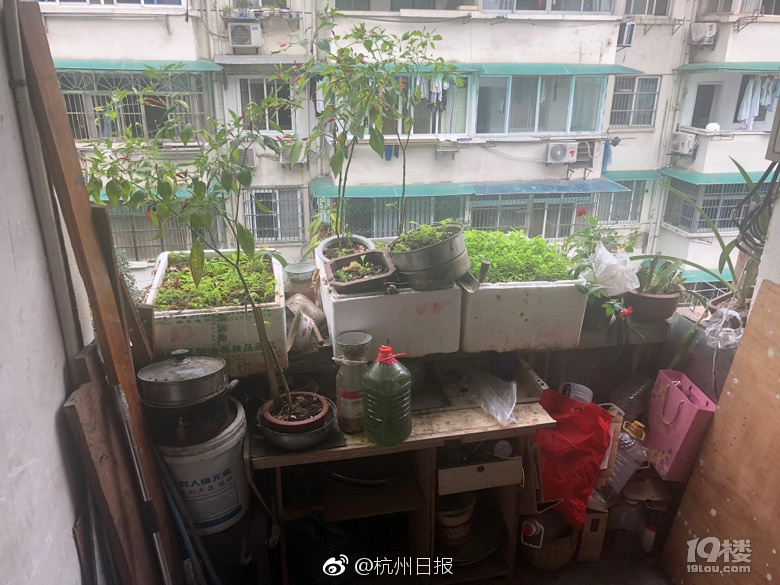 最美逆行！行李箱滾落砸向老人 小伙狂奔截住