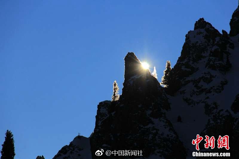 北大學(xué)生逼得胡適汗流夾背