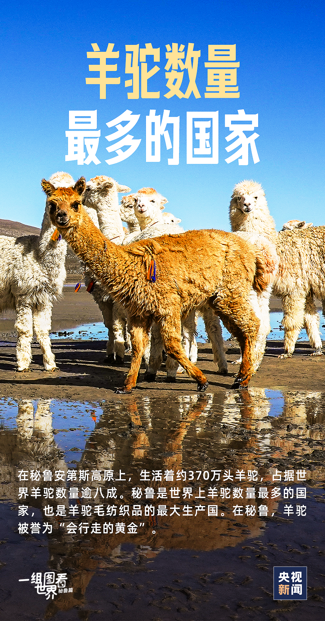 劉雯陳偉霆談戀愛？工作人員辟謠