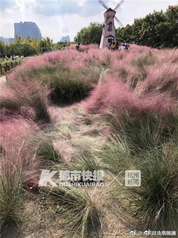 主人教訓(xùn)犯錯(cuò)的金毛，二哈卻在一旁瑟瑟發(fā)抖，看來是虧...