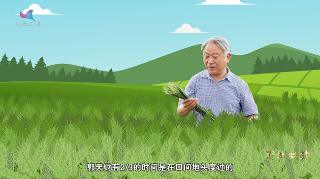 “清明時節(jié)思故人”主題征文活動獲獎名單