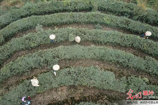 美軍近期在臺(tái)?；顒?dòng)頻繁 或?yàn)檗D(zhuǎn)移疫情視線(xiàn)