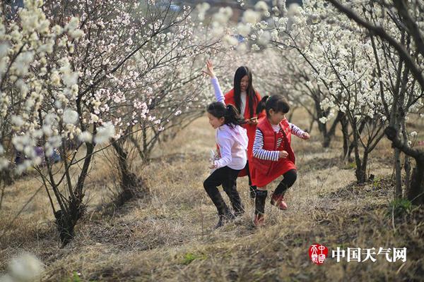 付辛博穎兒櫻花樹下甜蜜依偎 俊男美女撒狗糧
