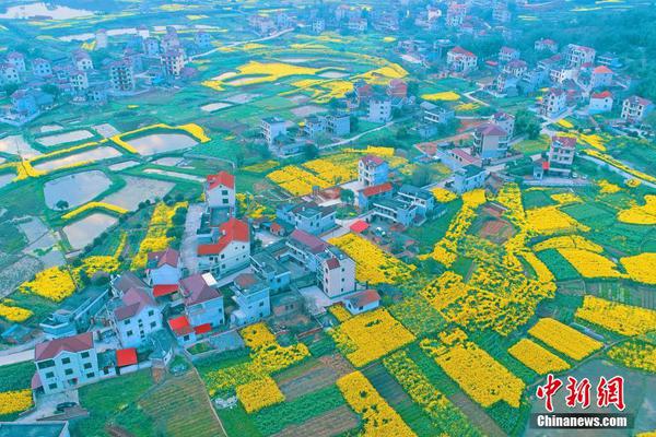 董藩：我不主張在收縮型城市搞振興 是浪費資源