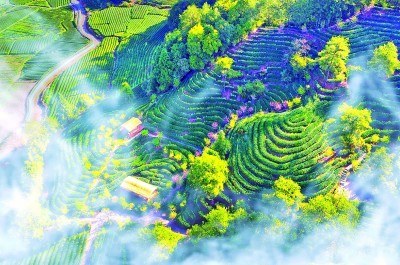 氣球式社交：成年人最大的孤單，是沒有一個真朋友